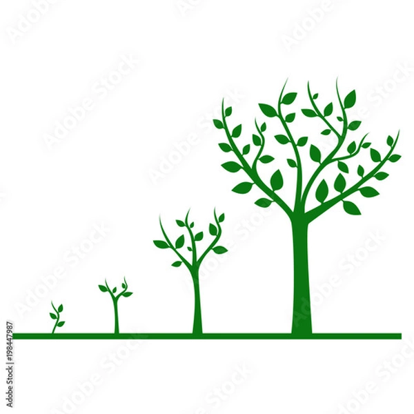 Obraz Tree illustration. Vector