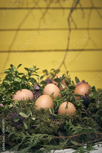 Obraz Eastern egg composition, moss, wood natural