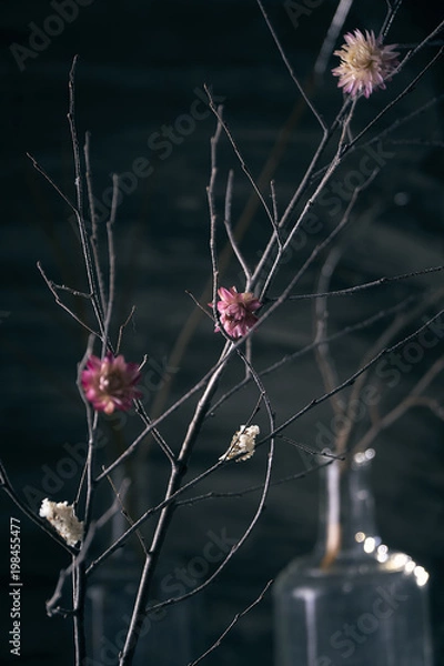 Obraz Dark flower composition 