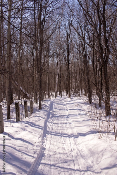 Obraz snow path