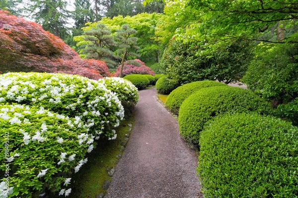 Fototapeta Stroling Garden Path in manicured Japanese Garden