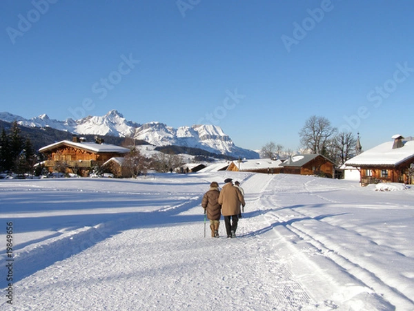 Obraz Promenade en hiver