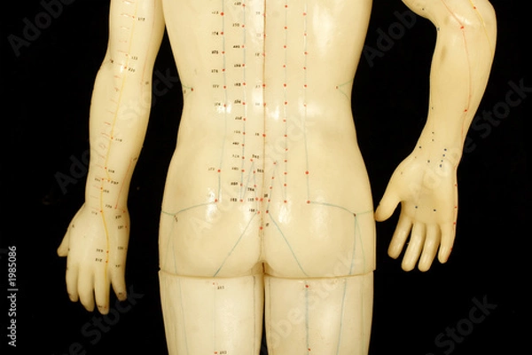 Fototapeta acupuncture points