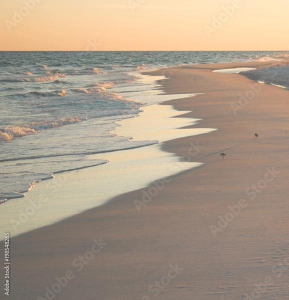 Obraz Beach Scene with Sandpipers
