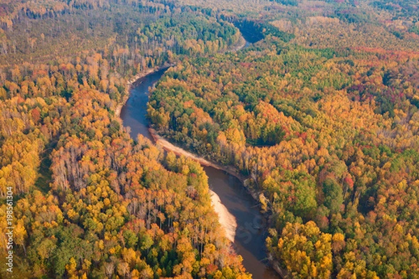 Fototapeta Top view perspective of autumn forest and river