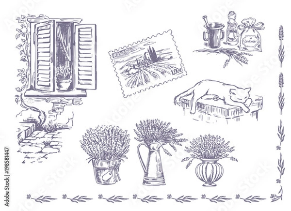 Obraz Vector collection of graphic lavender flowers sketch. Vector set of hand drawn lavender illustration in lilac color. Vintage collection of lavender flowers sketch isolated on white. Provence, France.
