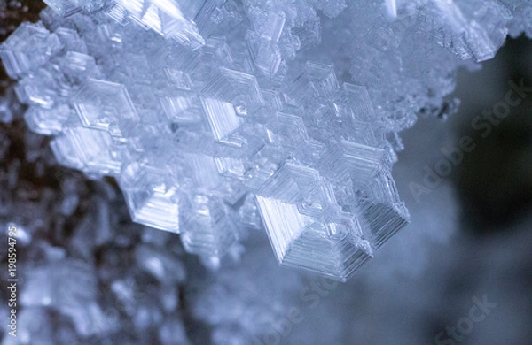 Obraz ice crystal