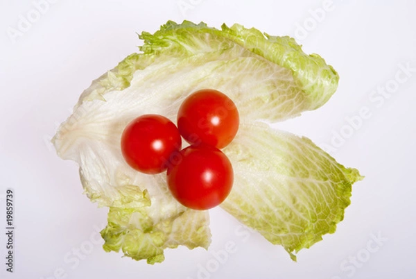 Obraz Tomatoes and salad.