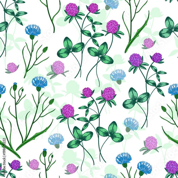 Fototapeta Seamless vector floral pattern. Floral background of bouquets of flowering clover and cornflowers with plant shadows in the background.