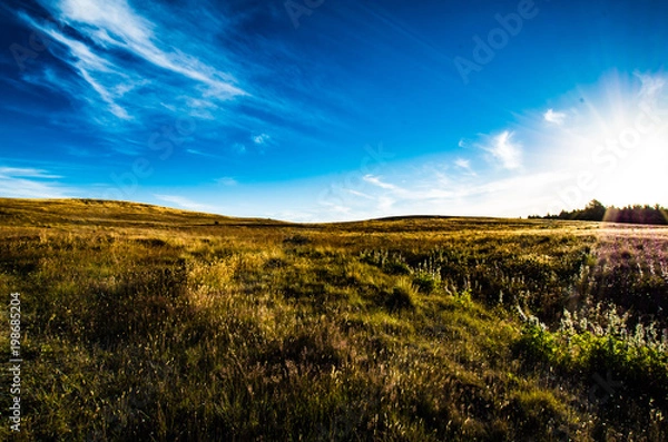 Fototapeta テカポ湖の夕日