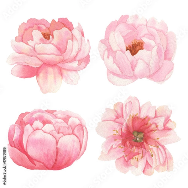 Obraz Set of flowers, leaves and branches Arrangements