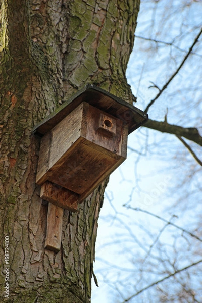 Fototapeta old wooden bird nest box on a large tree