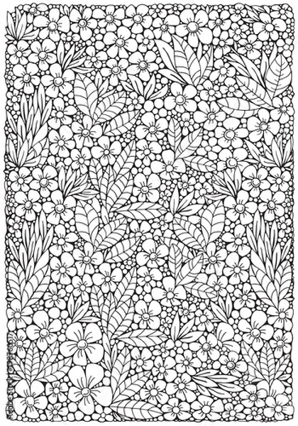 Obraz Coloring book page with different little flowers and leaf in zentangle style. Black and white vector illustration. A4 size. Doodle, hand drawn, zen art, anti stress.