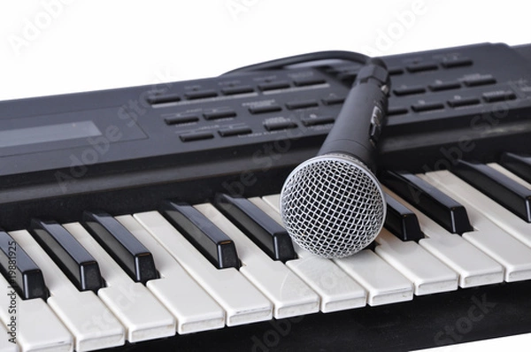 Fototapeta A microphone lying on the keys