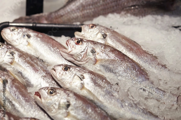 Fototapeta fresh fish on ice