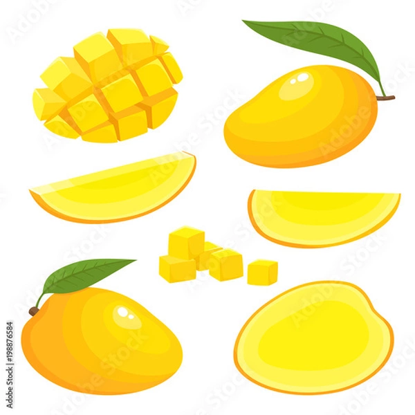 Obraz Jasny wektor zestaw świeżego egzotycznego mango na białym tle