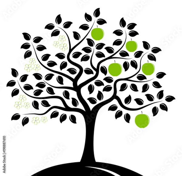 Fototapeta apple tree in two seasons