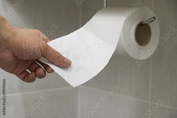 Obraz Hand picked toilet paper in the bathroom.