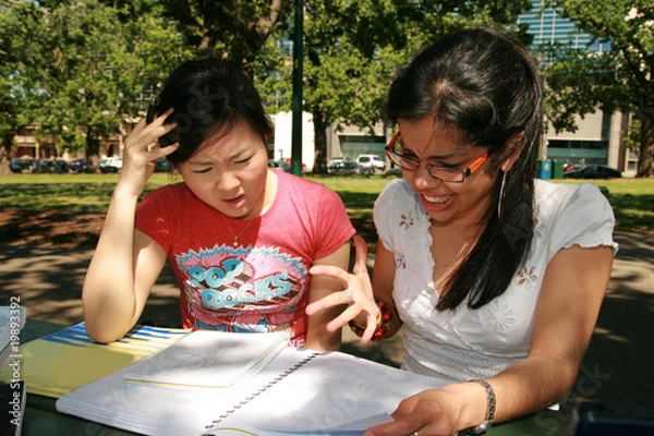 Obraz Two female students working together