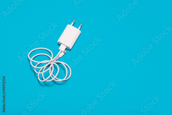 Obraz White charger with cable