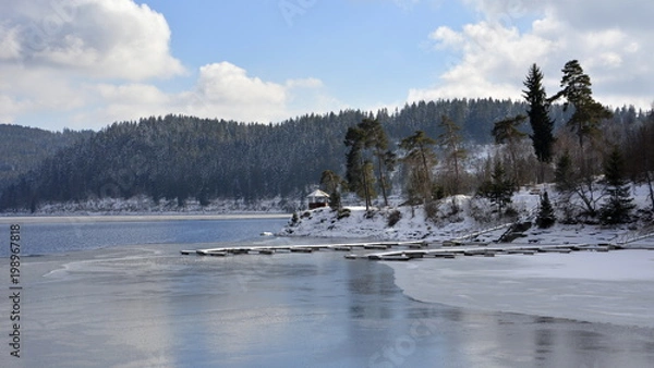 Obraz Schluchsee im Winter