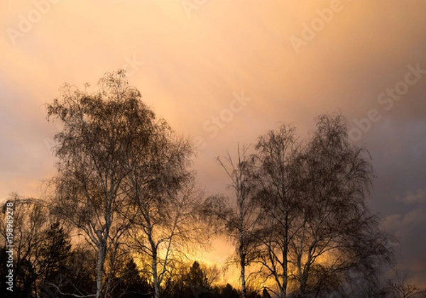 Fototapeta After the Storm