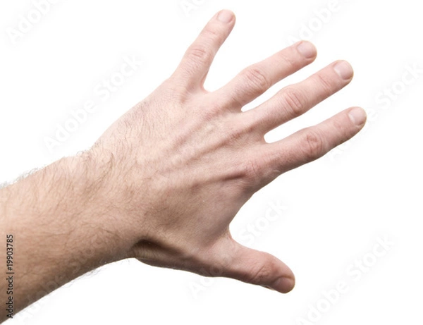 Fototapeta hand on white background 18