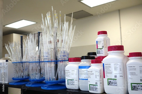 Obraz Working day in chemical laboratory