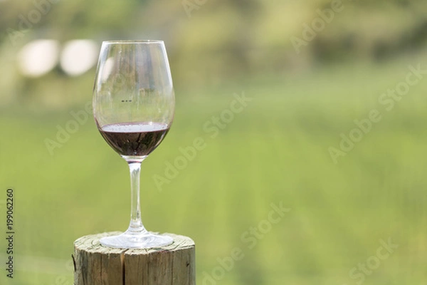 Obraz Wine in a wine glass on a post at a winery in a field
