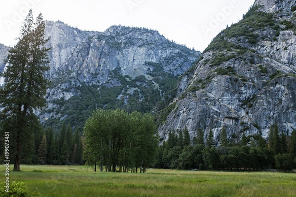 Obraz Meadow in Yosemite