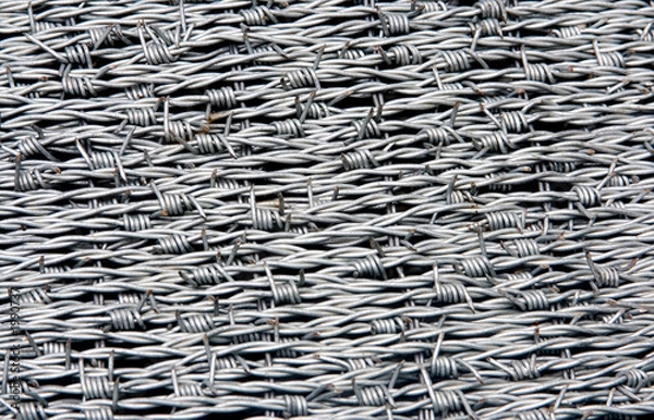 Fototapeta barbed wire