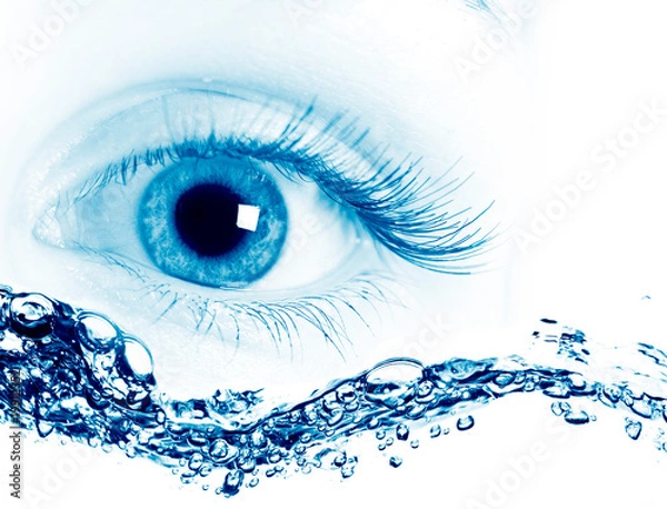 Obraz Beautiful blue eyes. on macro