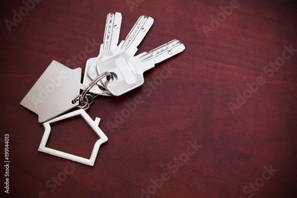 Fototapeta Keys on keys chain with house symbol, real estate concept
