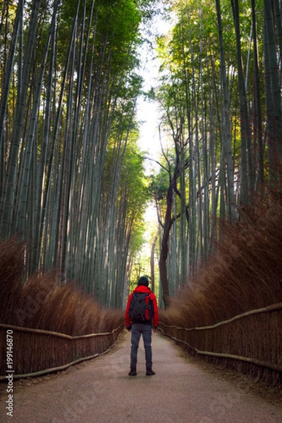 Fototapeta Male traveller standing in front of bamboo forest with photographer backpack.
