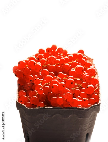 Obraz Johannisbeeren