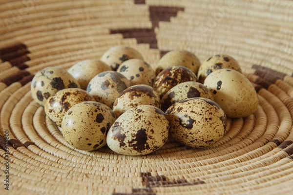 Fototapeta Group of Colorful Quail Eggs