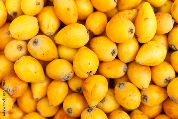 Obraz the fruits of loquat textured background, top view