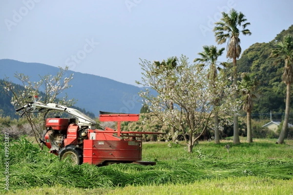 Obraz 草刈り機のある風景
