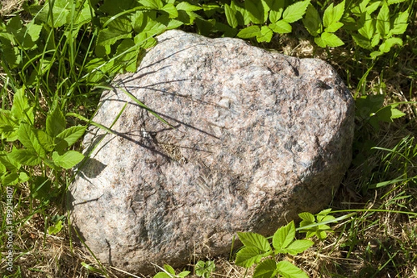 Fototapeta big gray stone