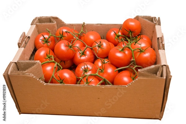 Obraz Tomatoes in box
