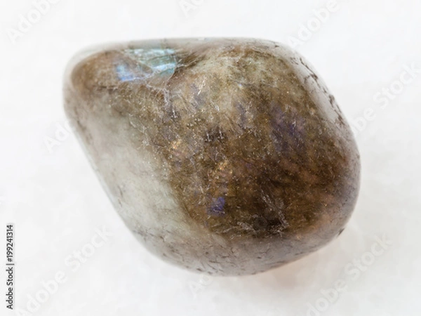 Obraz tumbled labradorite gem stone on white marble