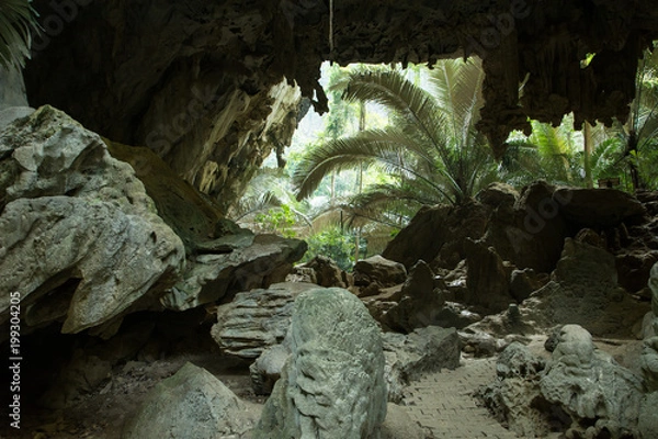 Obraz Ancient Big cave in the Old Forest