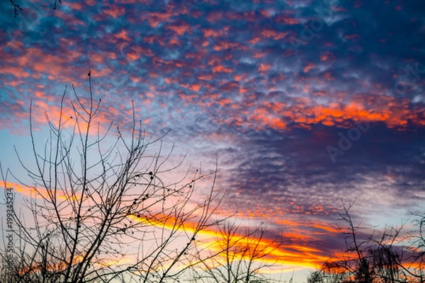 Obraz Beautiful clouds against the blue sky during sunset
