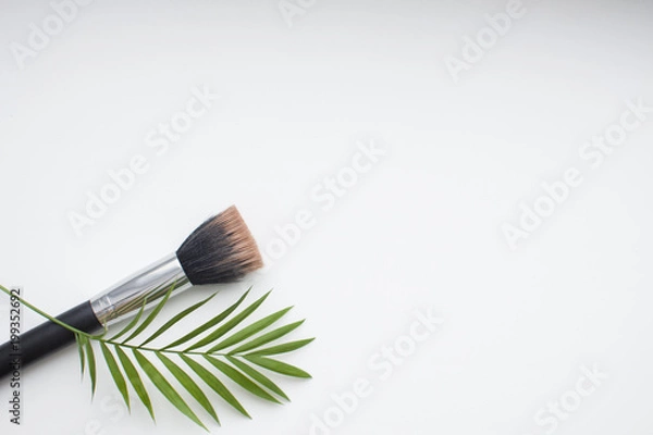 Obraz isolated makeup brush on the white background with free space  and branch of palm