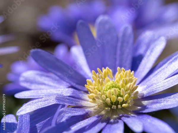 Fototapeta OLYMPUS DIGITAL CAMERA