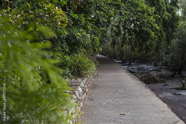 Fototapeta Riverside Pathway
