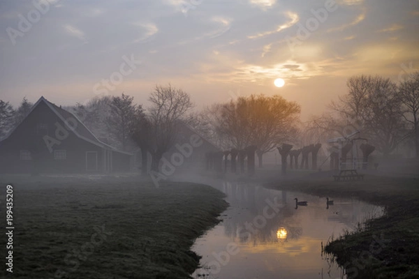 Fototapeta Two swan swimming near a beautiful typical Dutch wooden houses architecture at the sunrise moment mirrored on the calm canal of Zaanse Schans located in the North of Amsterdam, Netherlands