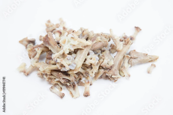 Fototapeta Chicken bones fragments on white background, Isolated