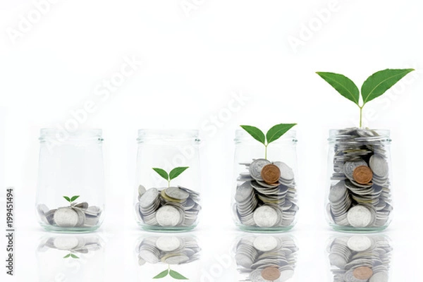 Fototapeta Saving money concept with coins in bottle stack and plant growing isolated on white background