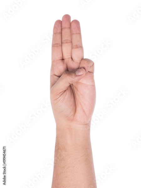 Obraz three finger salute